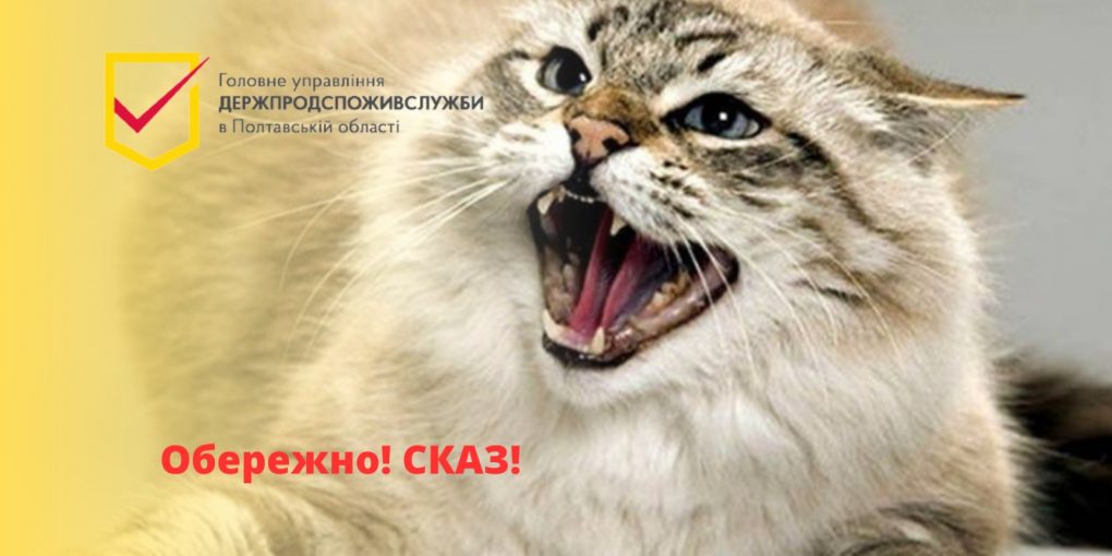 У двох громадах Полтавщини виявили хворих на сказ котів 